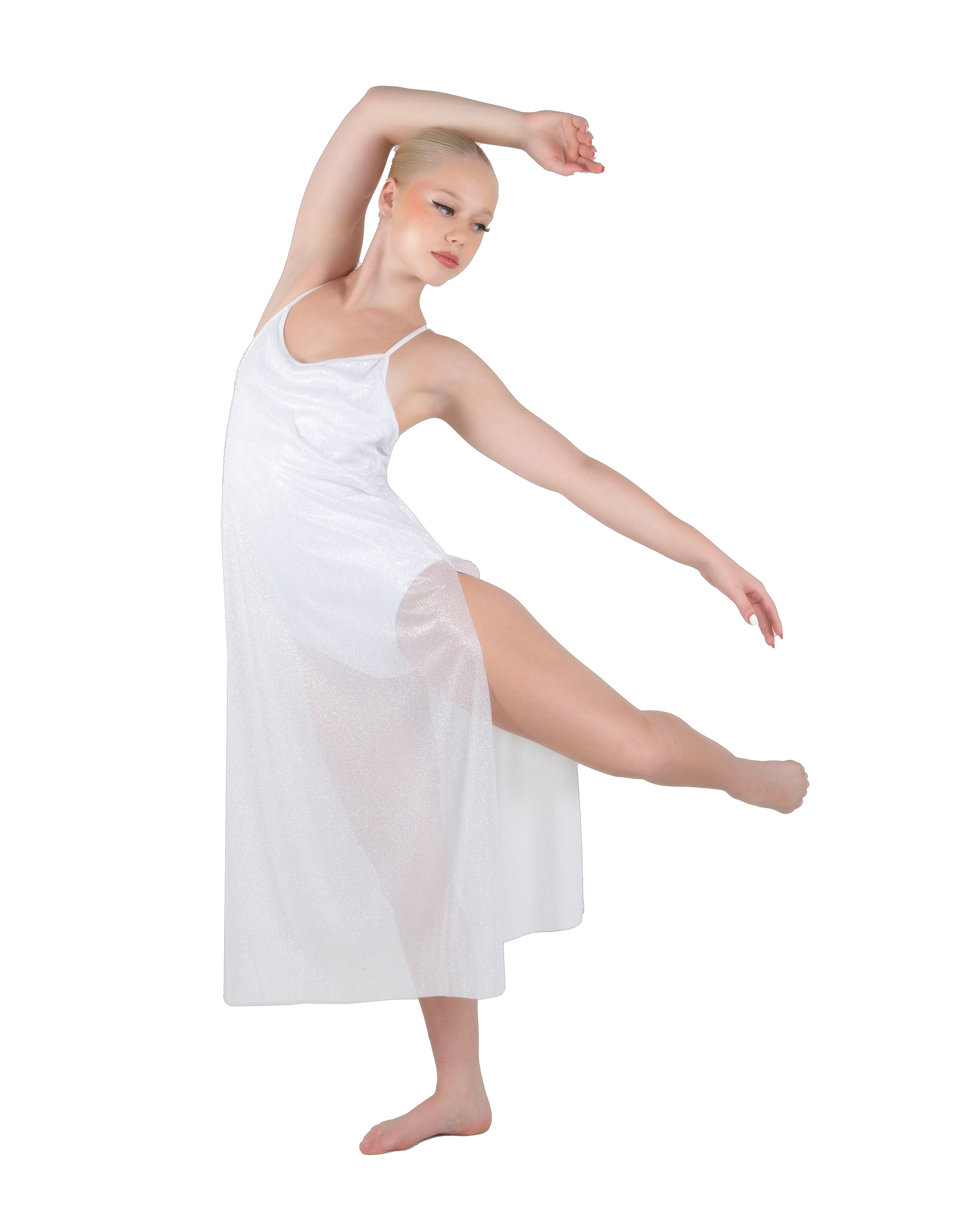 Solid Glitter Chiffon Long Panel Dress