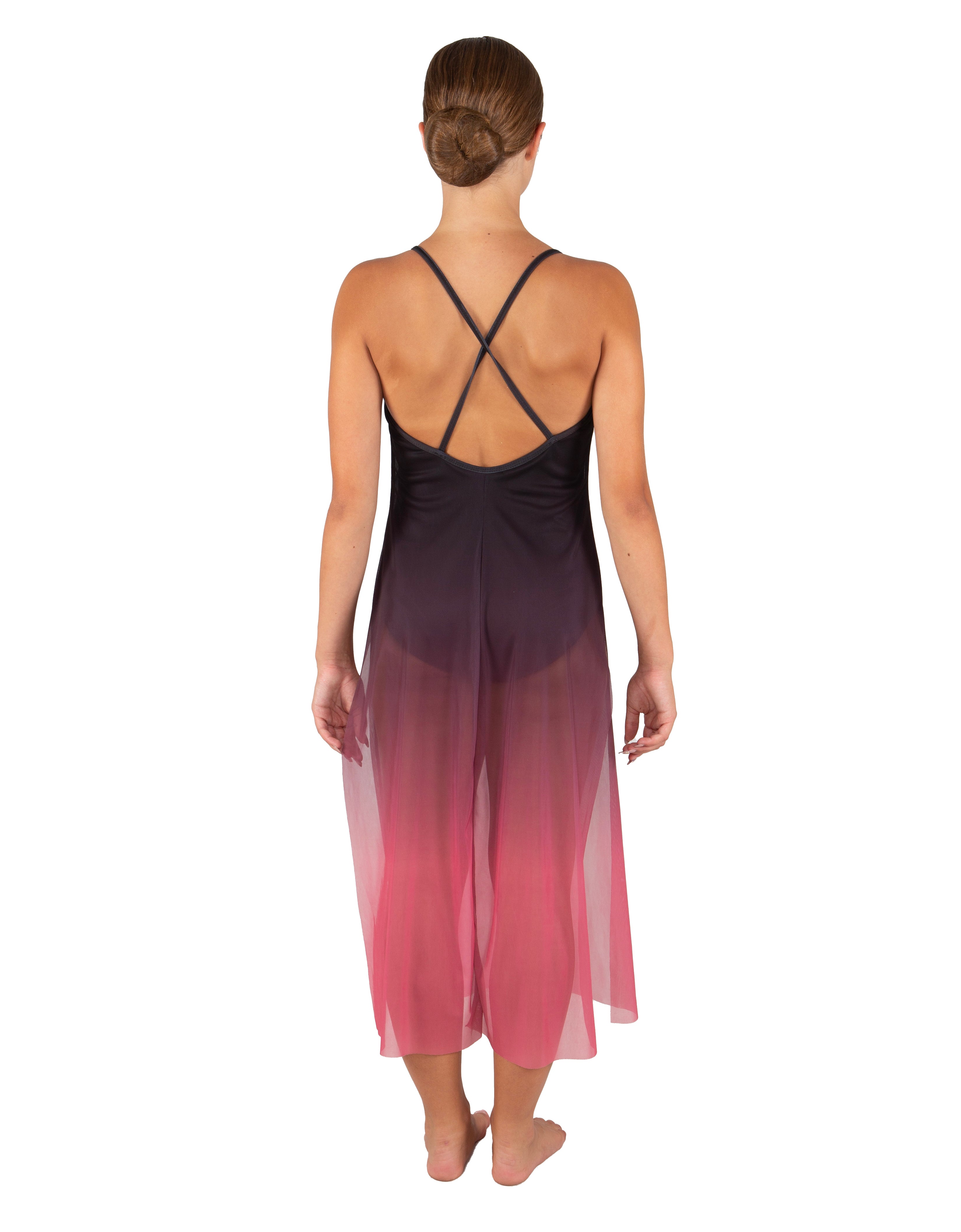 Soulful Long Chiffon Panel Dress