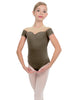 cedar