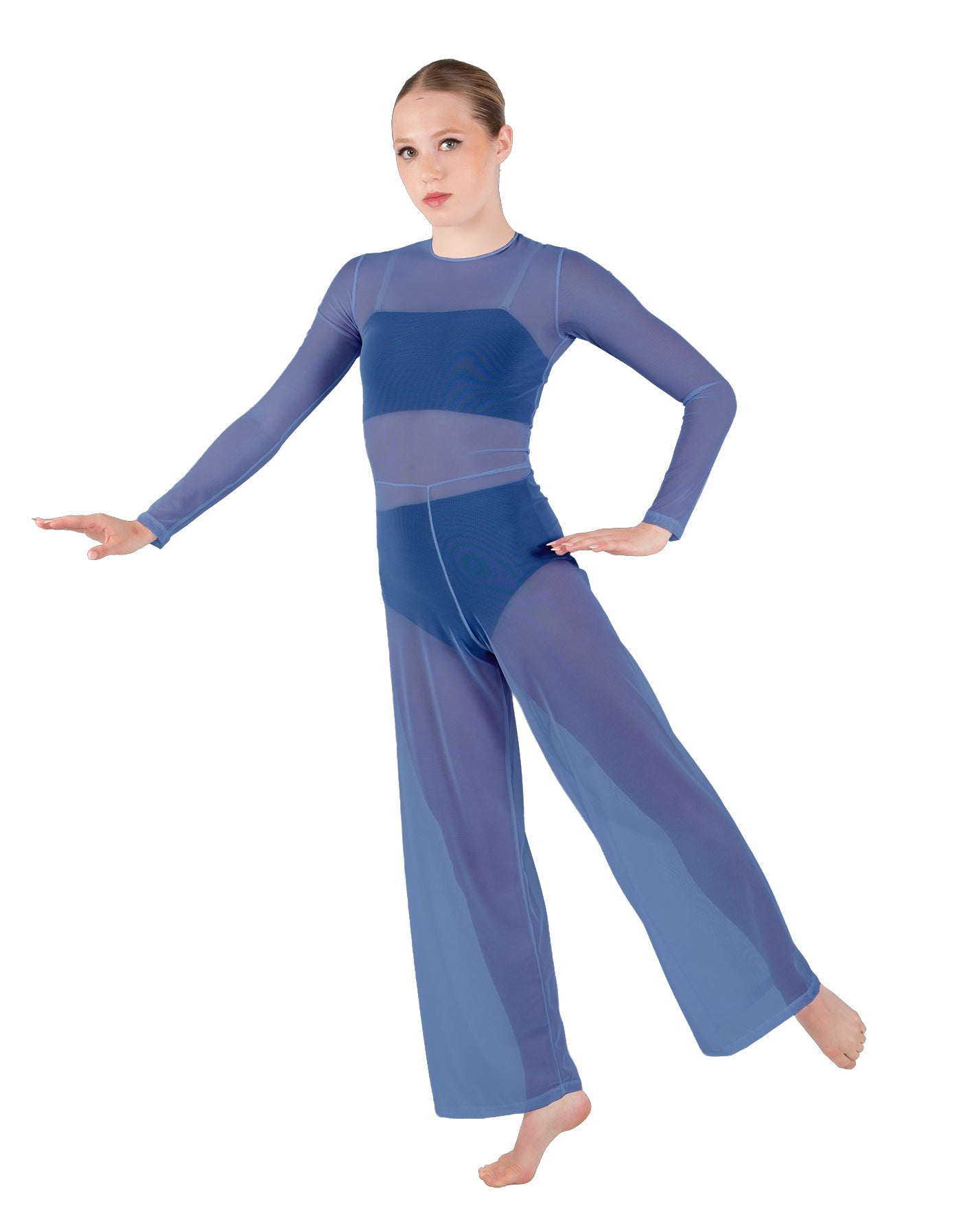 wedgewoodblue