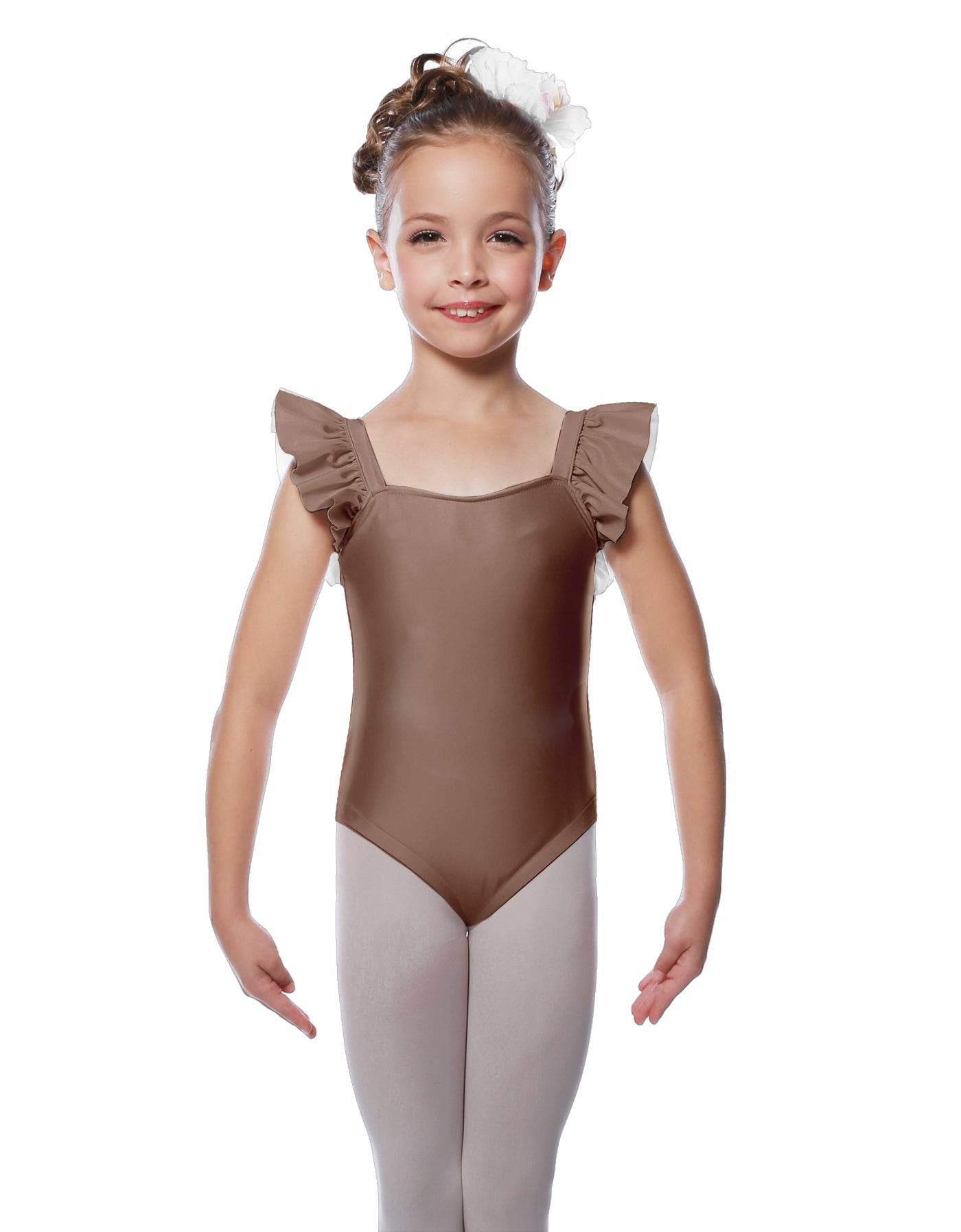 fawn